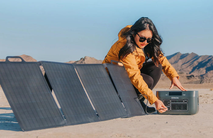 100 Solar Panel