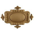 resin shield accent online - Item # SHD-0365-CP-2