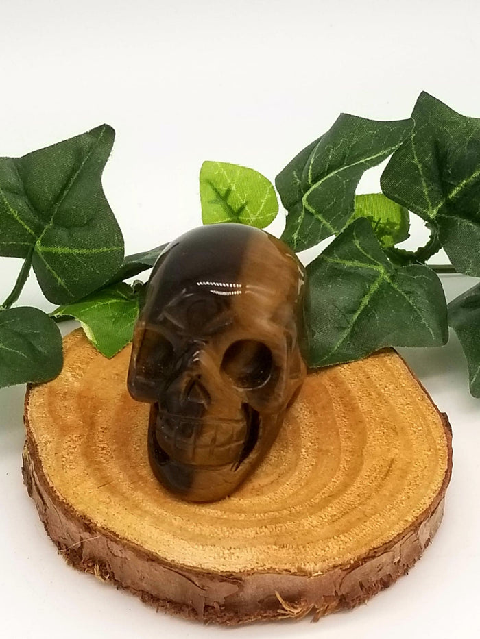 2" Tigers Eye Crystal Skull