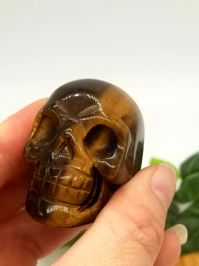 2" Tigers Eye Crystal Skull