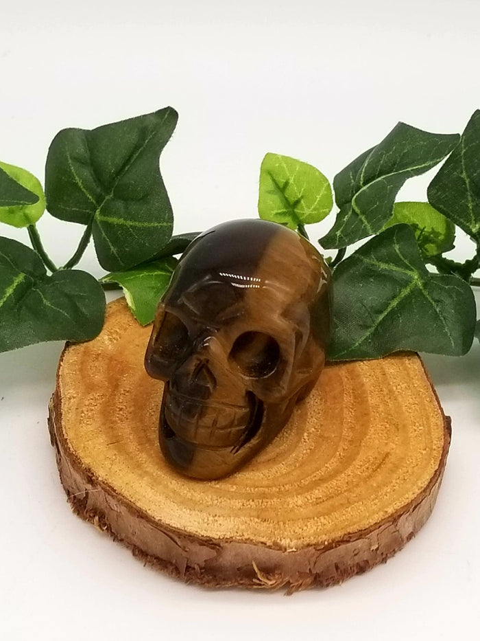 2" Tigers Eye Crystal Skull