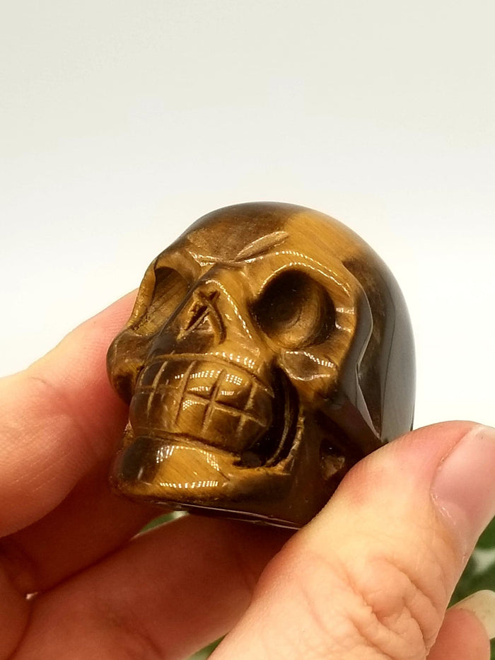 2" Tigers Eye Crystal Skull