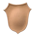 resin shield accent online - Item # SHD-2955-CP-2