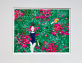 Bougainvilla