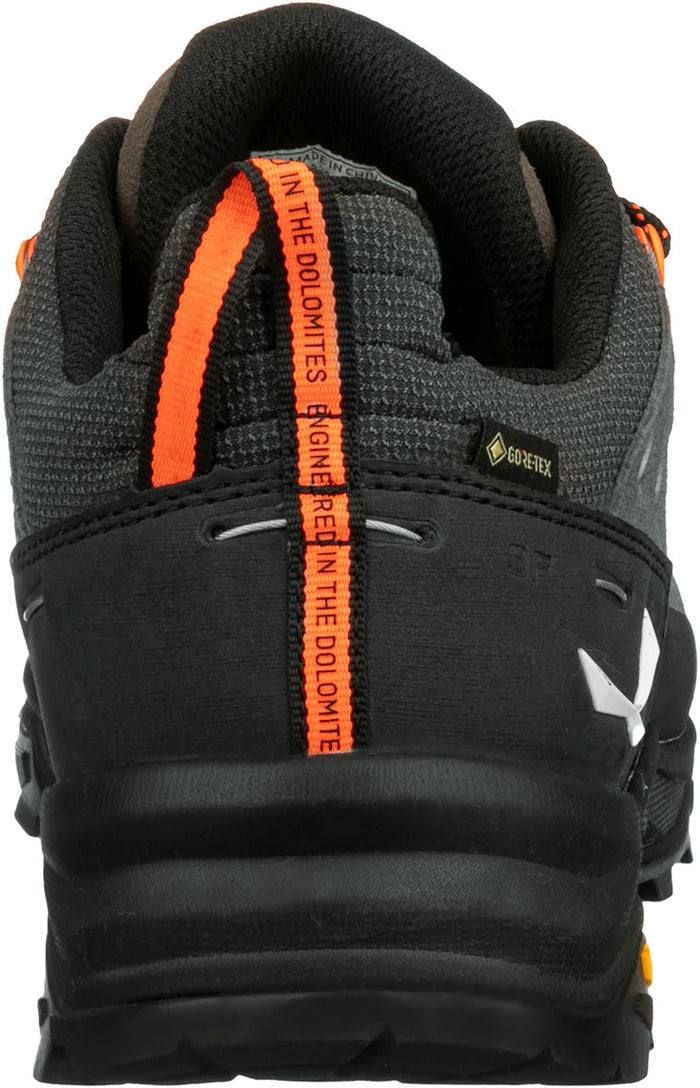 ALP Trainer 2 Gore-Tex Hiking Shoes - Men's