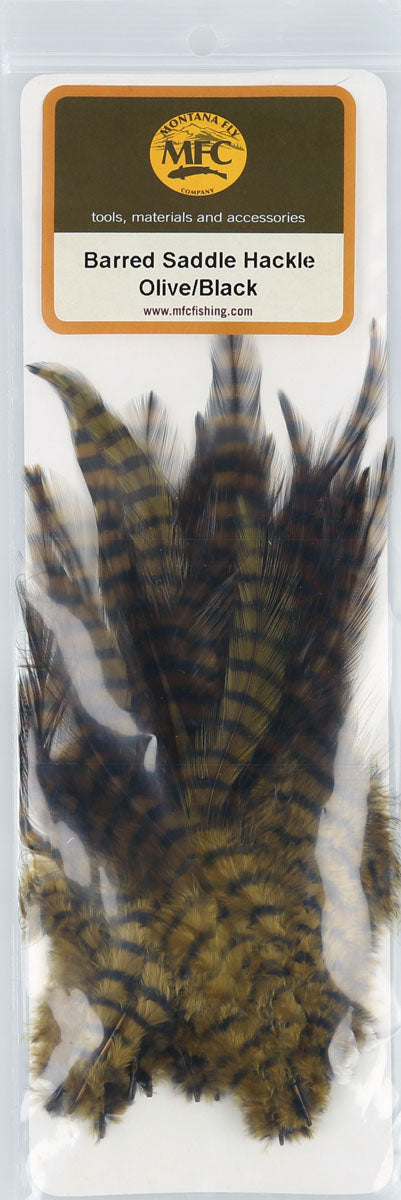 Barred Saddle Hackle