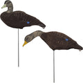 Black Duck Flocked Full Body Decoy - 6/PK