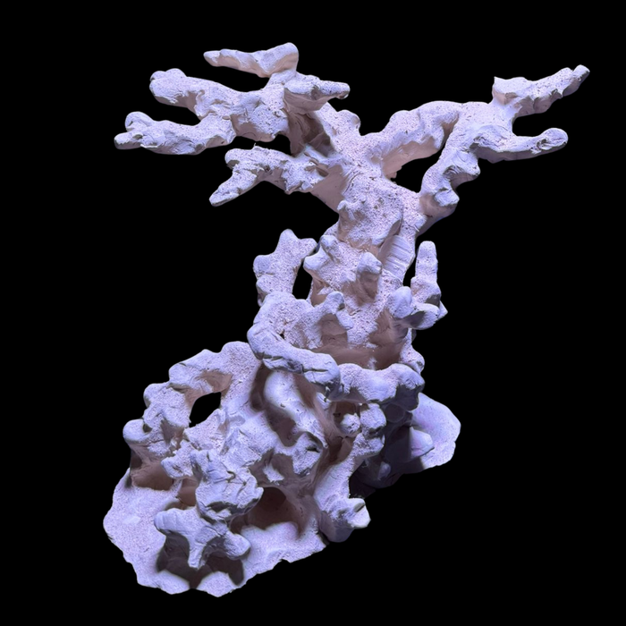 BPM Reef Scape #14