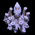 BPM Reef Scape #2