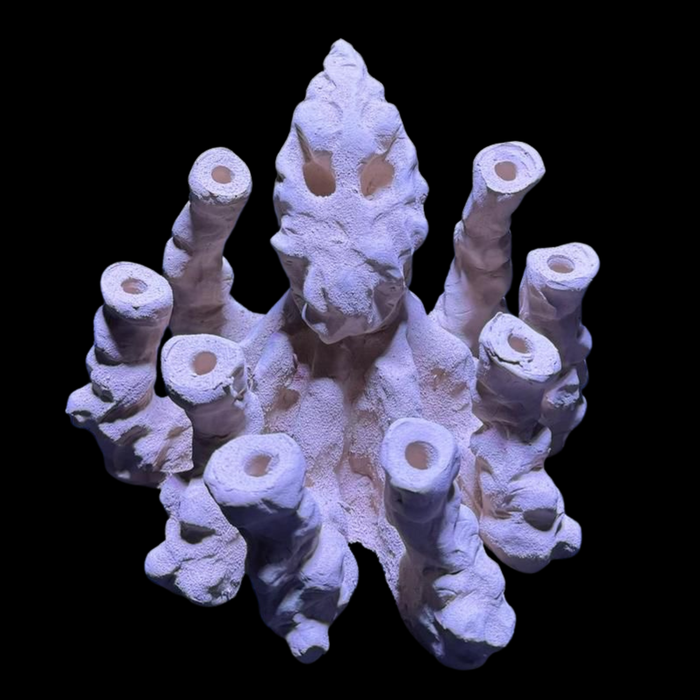 BPM Reef Scape #2