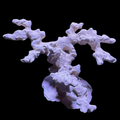 BPM Reef Scape #4