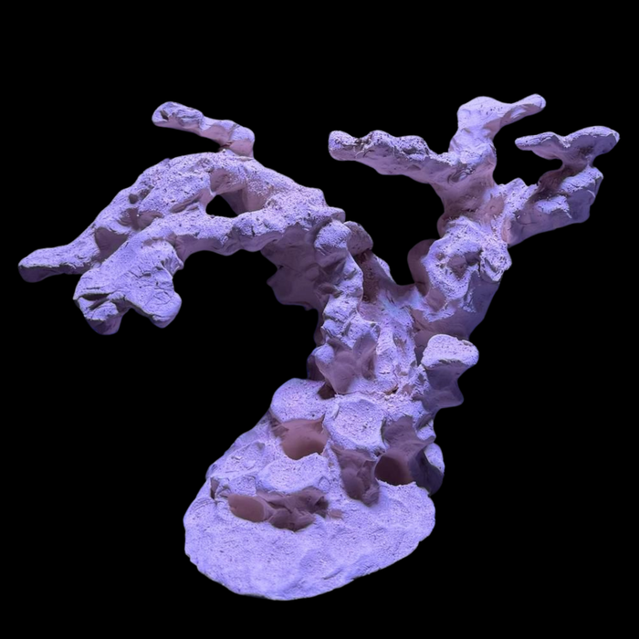 BPM Reef Scape #6