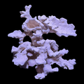 BPM Reef Scape #7