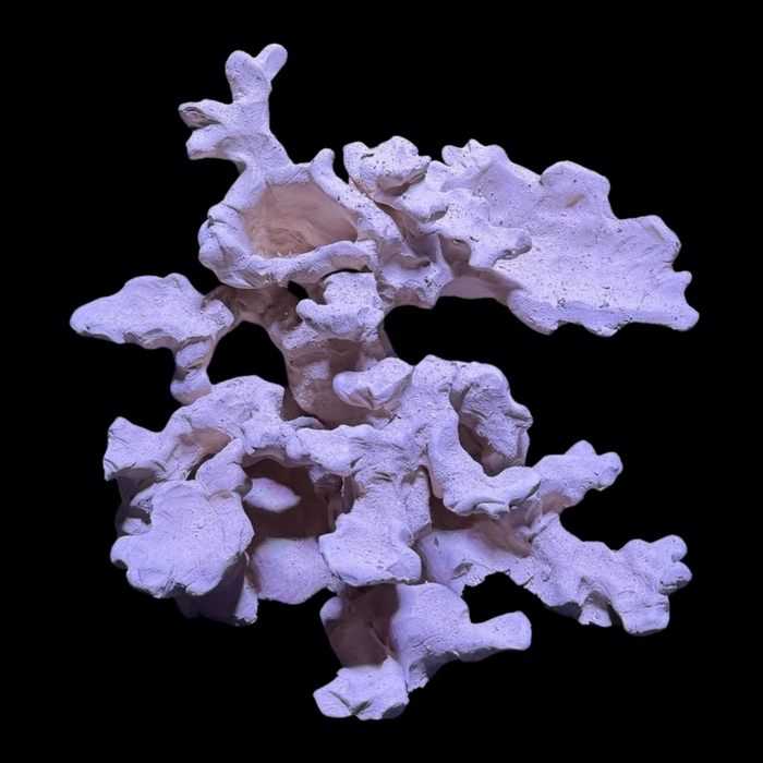 BPM Reef Scape #7