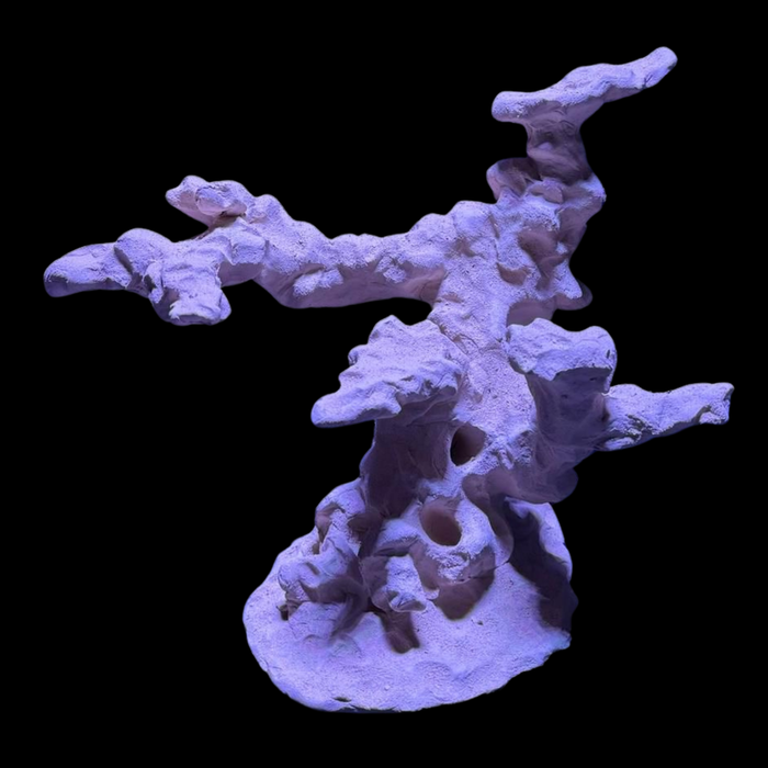 BPM Reef Scape #8