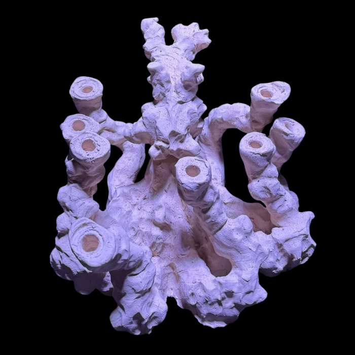 BPM Reef Scape #9