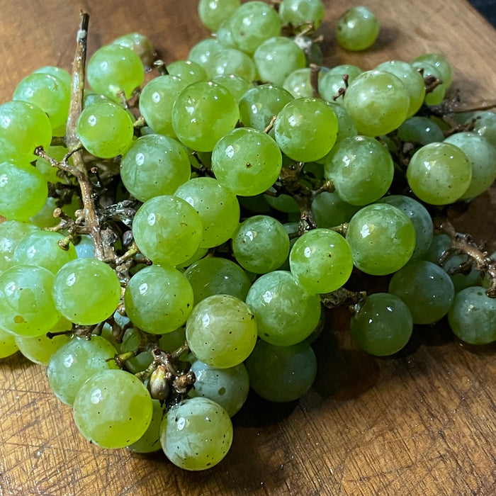 Brianna Grape Seeds
