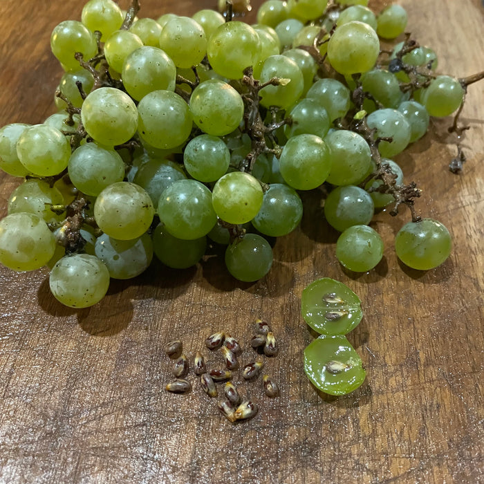 Brianna Grape Seeds