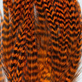 Bugger Pack Feathers