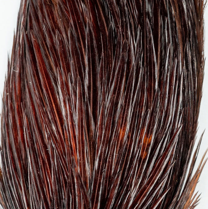 Bugger Pack Feathers