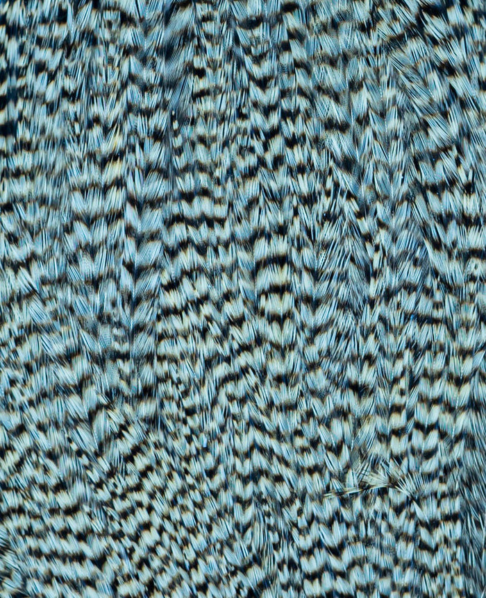 Bugger Pack Feathers
