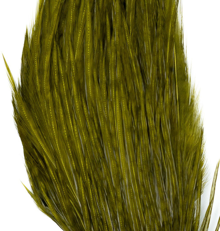 Bugger Pack Feathers