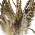 Chinchilla Hackle