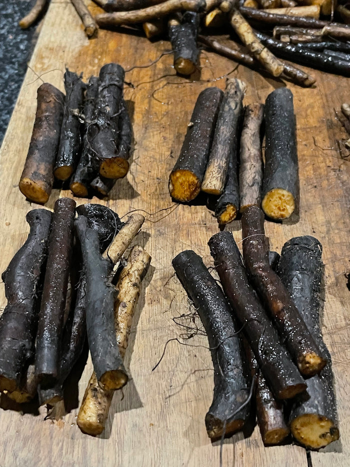 Common Comfrey Root Cuttings