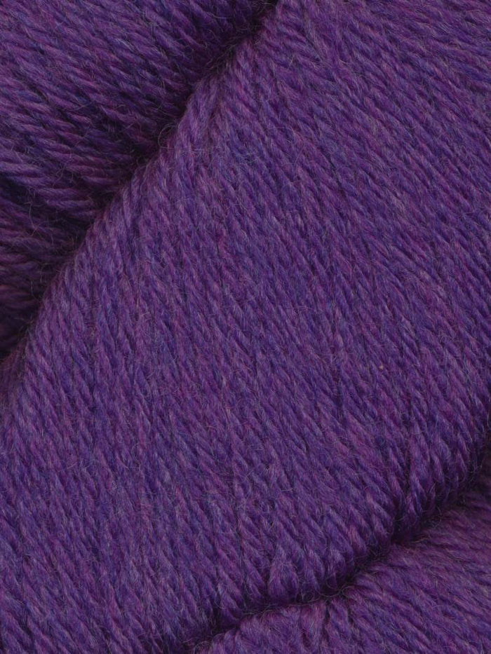 2009 Grapeberry Heather