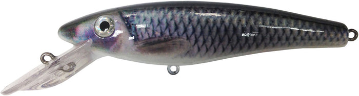 35-L CISCO / 9 in.