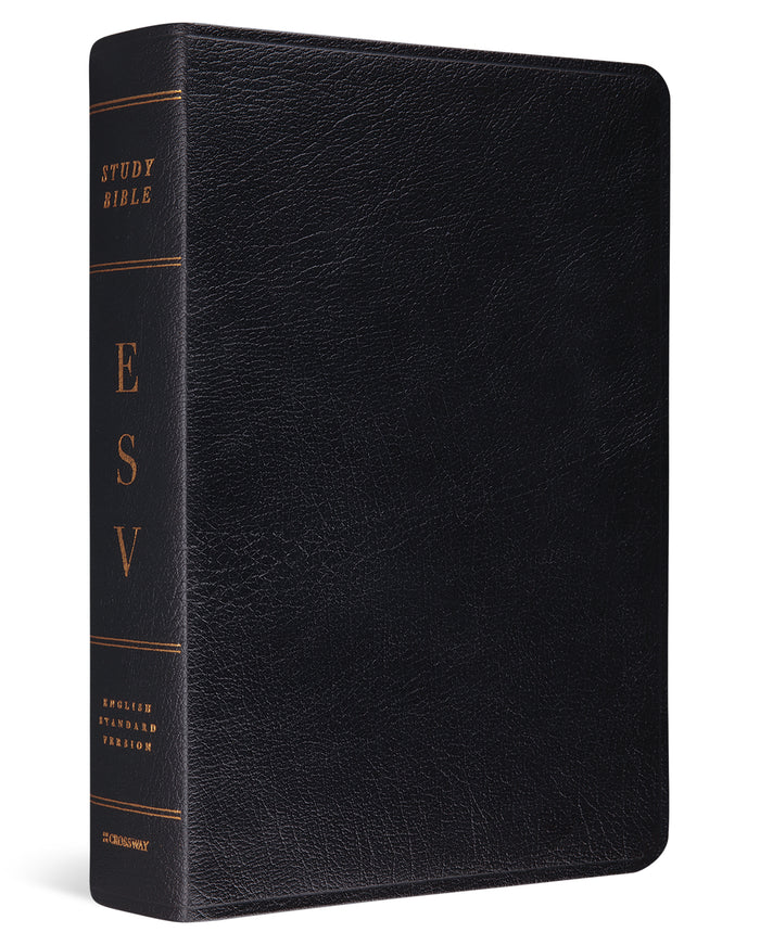 ESV Study Bible (Genuine Leather, Black) cover image (1023686475823)