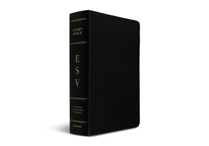 ESV Study Bible (Genuine Leather, Black) (1023686475823)