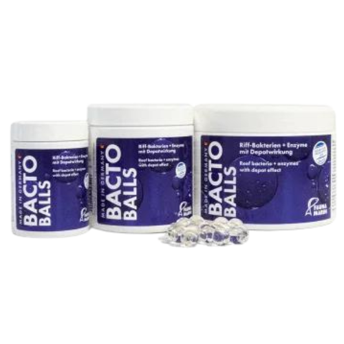 Fauna Marin Bacto Balls