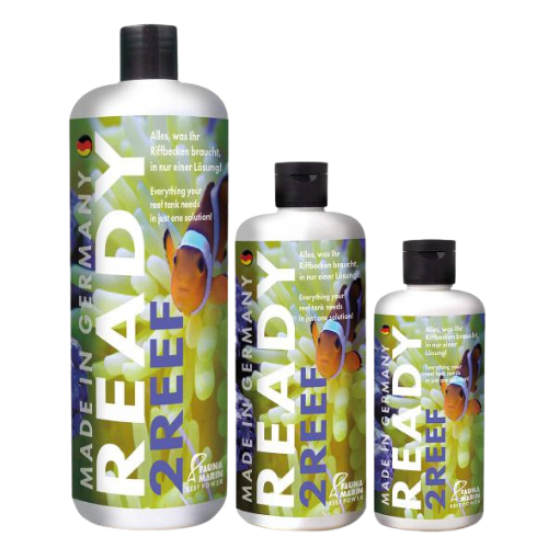 Fauna Marin Ready2Reef