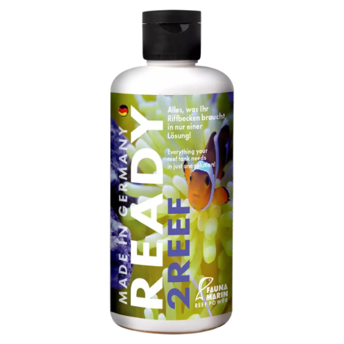 Fauna Marin Ready2Reef