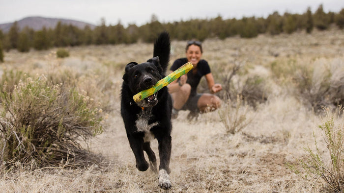 Gnawt-a-Stick Dog Toy