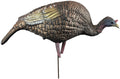 Hard Body Feeder Hen Decoy