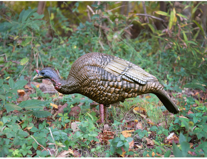 Hard Body Feeder Hen Decoy