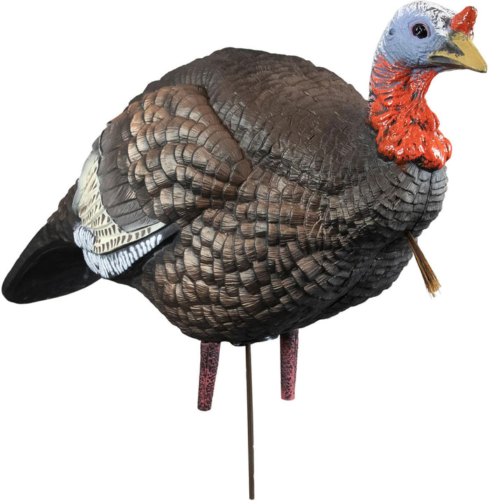 Hard Body Quarter Strut Jake Turkey Decoy