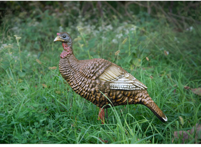 Hard Body Upright Hen Decoy