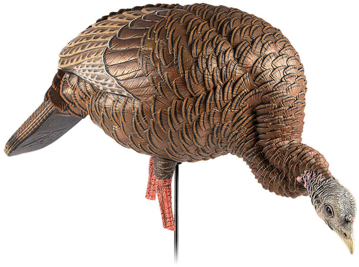HDR Feeding Hen Decoy