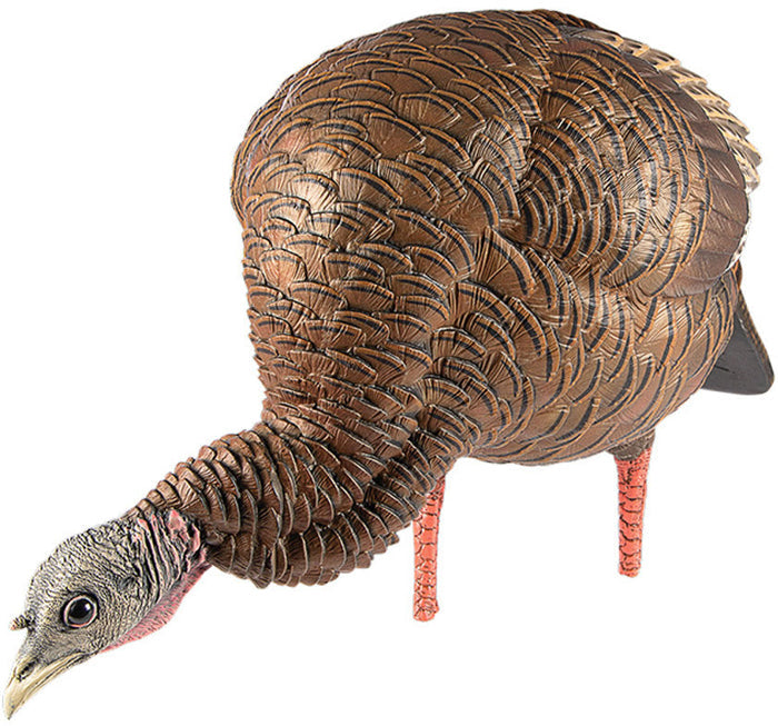 HDR Feeding Hen Decoy