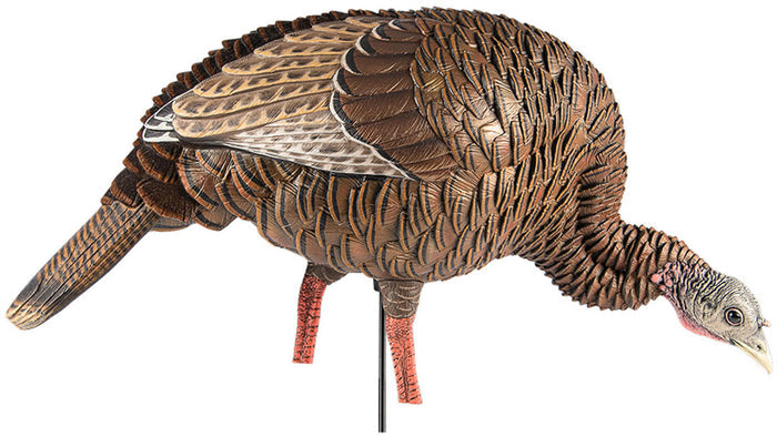 HDR Feeding Hen Decoy
