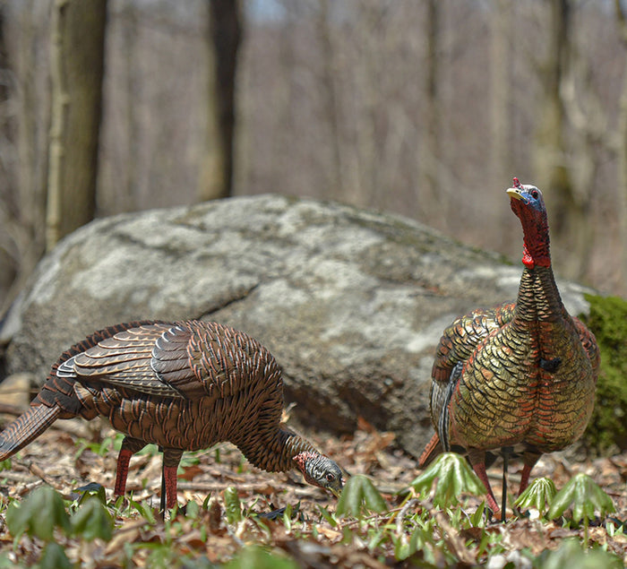 HDR Feeding Hen Decoy