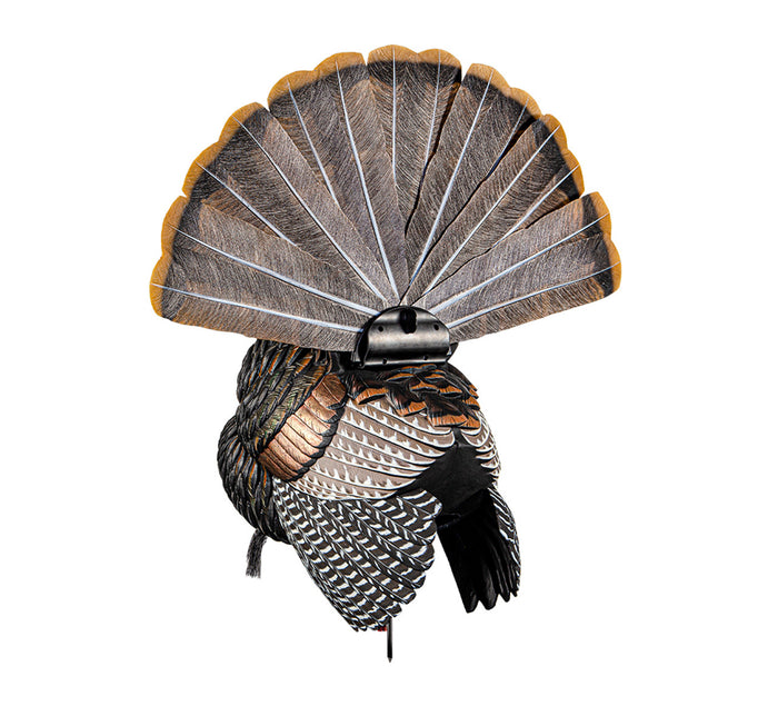 HDR Strutter Decoy