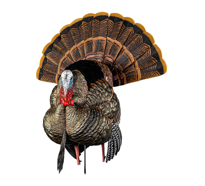HDR Strutter Decoy