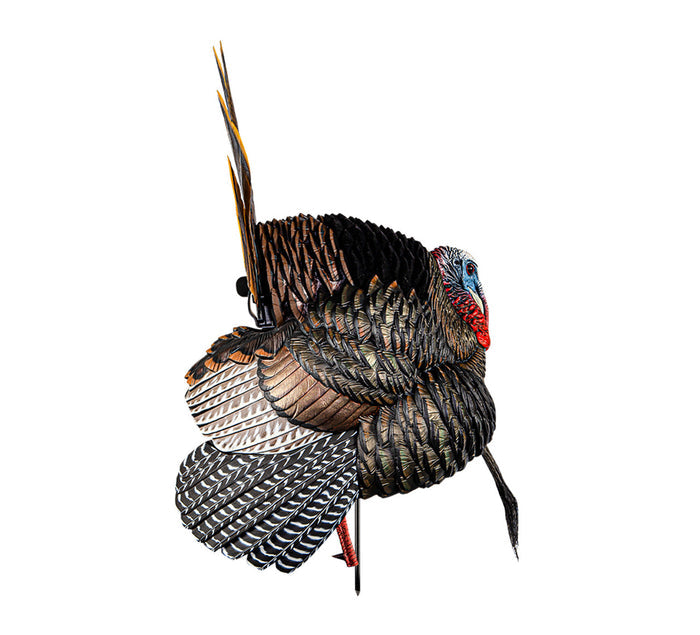 HDR Strutter Decoy