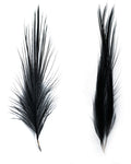 Heron Feathers