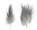 Heron Feathers