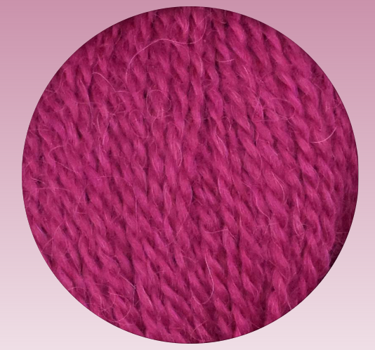 2058 Raspberry